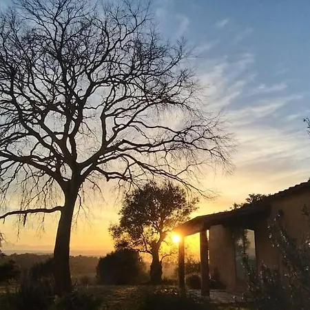 Vila Mas Coquells, Preciosa Masia En Plena Natura Vilanant